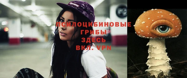 mdpv Волоколамск