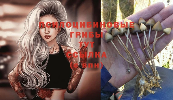 mdma Волосово