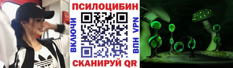 Псилоцибиновые грибы мухоморы  kraken зеркало  Балашиха 